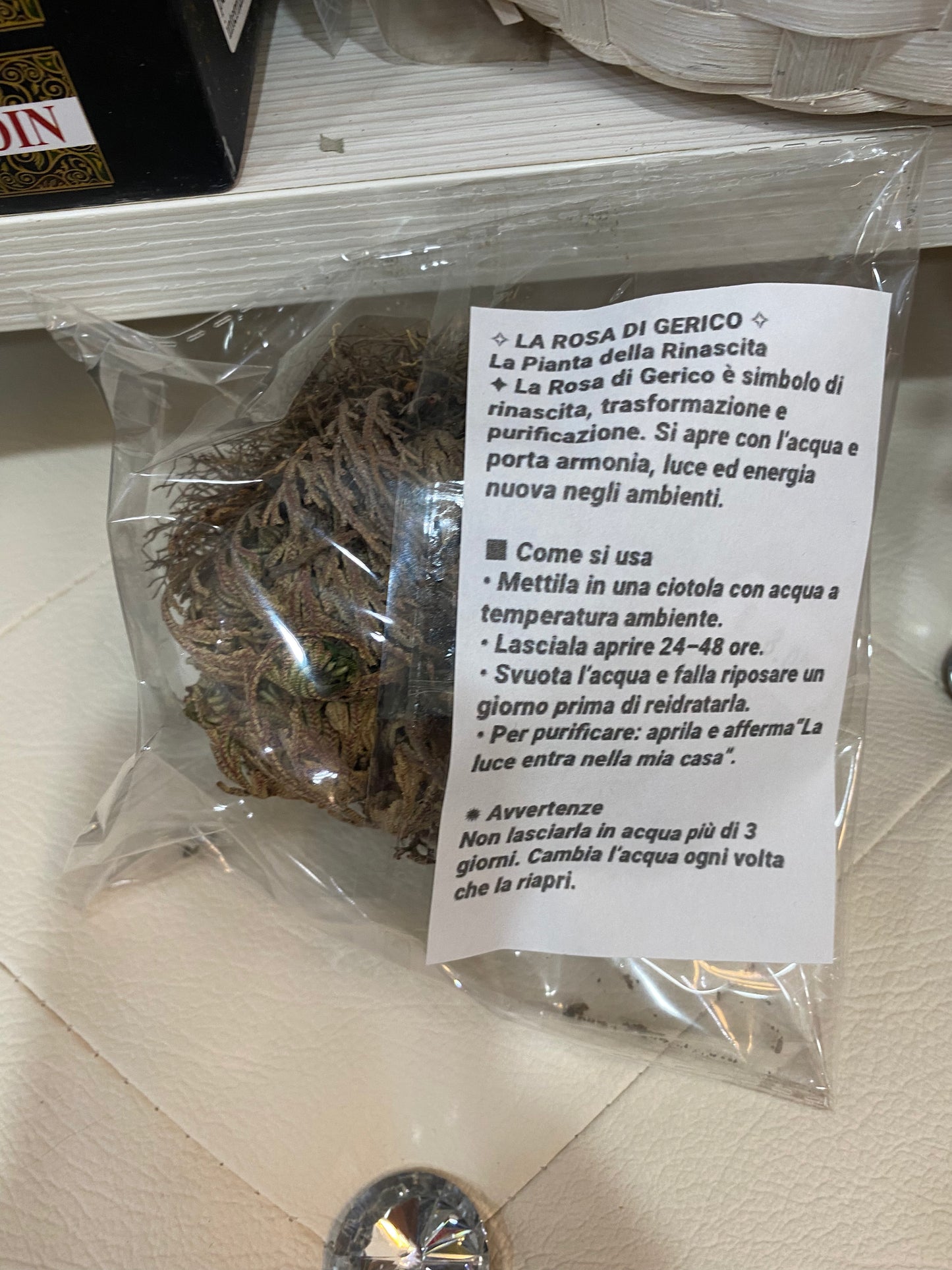 Rosa di Gerico – La Pianta della Rinascita