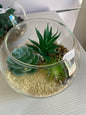 Vaso in vetro con Piante Grasse Finte  🌿
